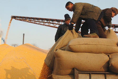 吉林富硒荞子茶(什么是硒荞子茶)-硒宝网