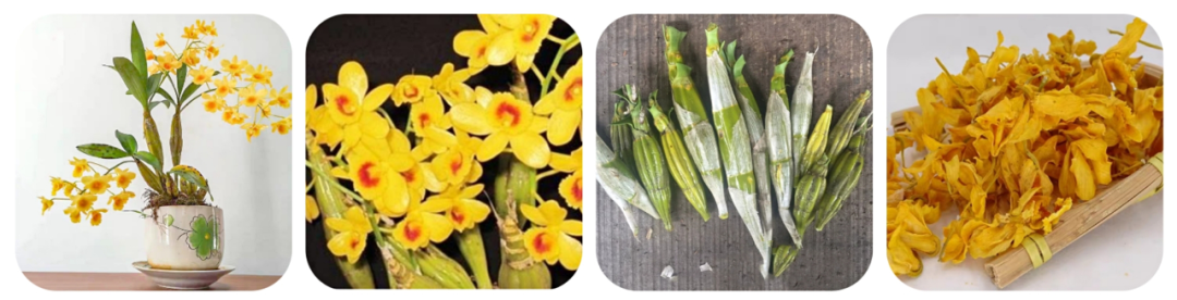 富硒紫皮石斛茶(紫皮石斛养胃茶价格)-硒宝网