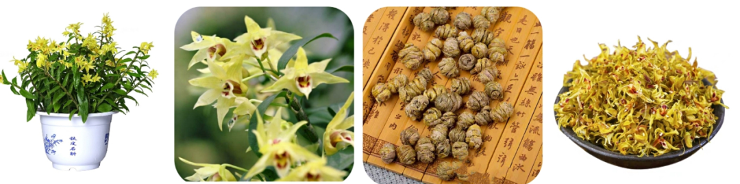 富硒紫皮石斛茶(紫皮石斛养胃茶价格)-硒宝网