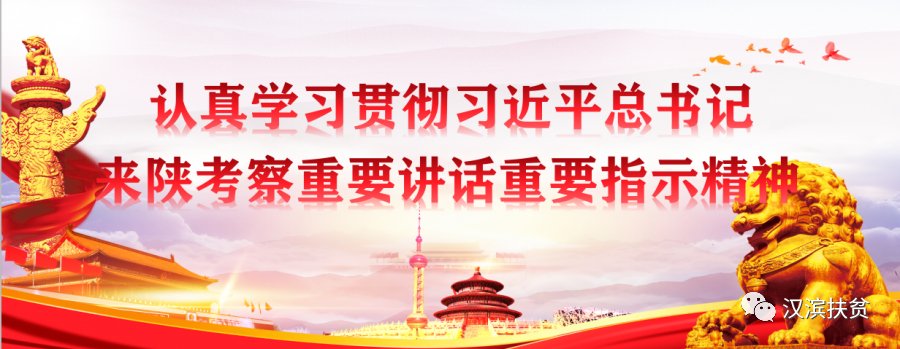 京康安康富硒茶(安康京康农业有限公司)-硒宝网
