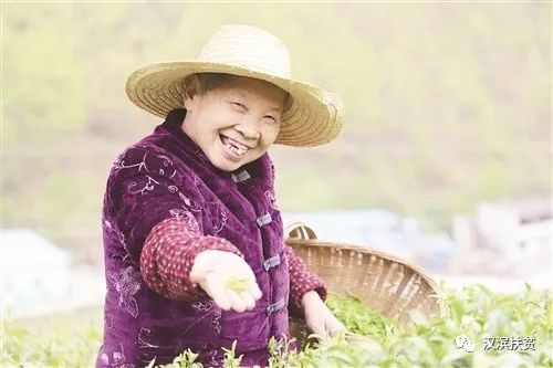 京康安康富硒茶(安康京康农业有限公司)-硒宝网