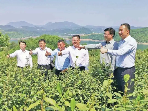 京康富硒茶直播(京康富硒茶怎么样)-硒宝网