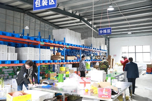 京康富硒茶直播(京康富硒茶怎么样)-硒宝网