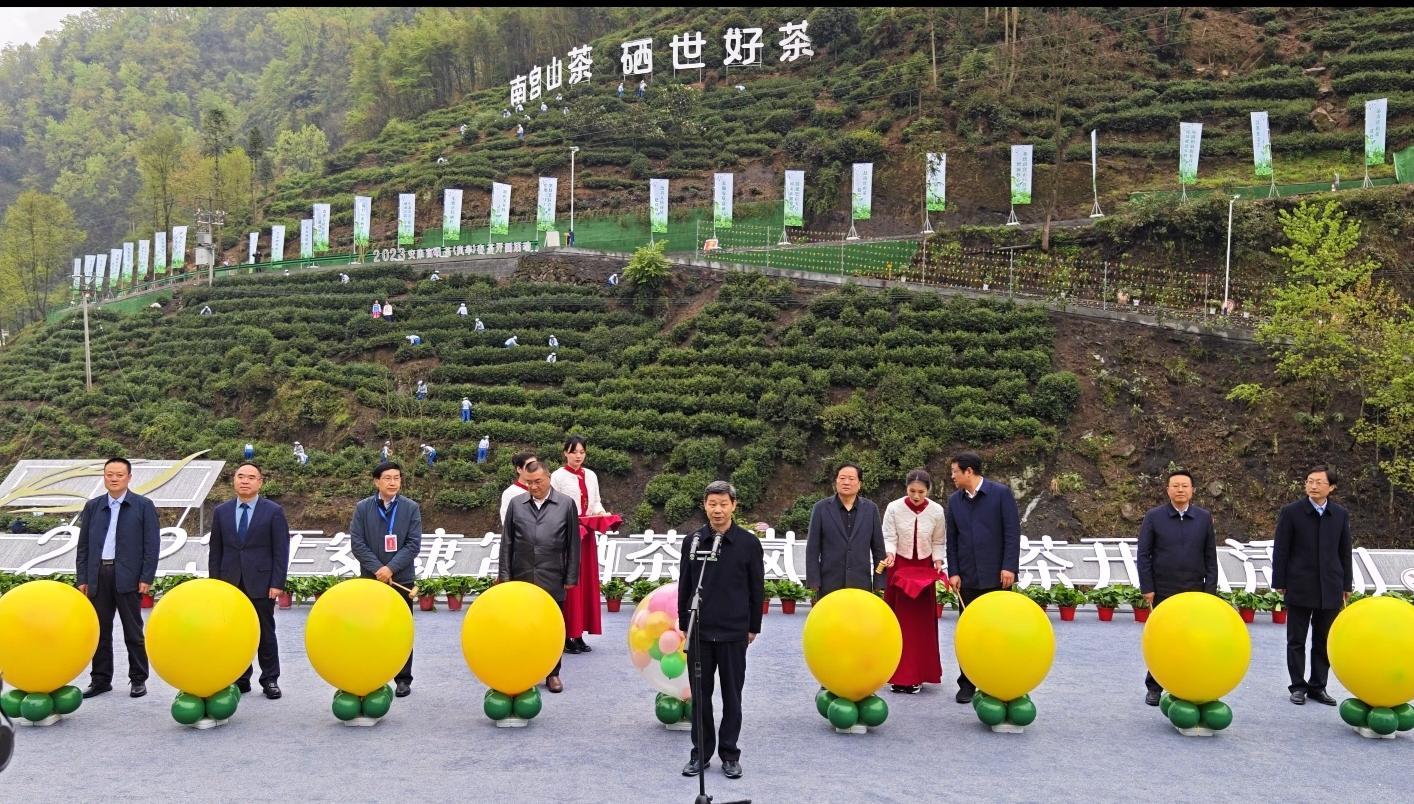 安康富硒茶官网(安康富硒茶的功效与作用)-硒宝网