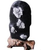 利川有富硒茶吗(恩施利川茶叶硒含量多少)-硒宝网