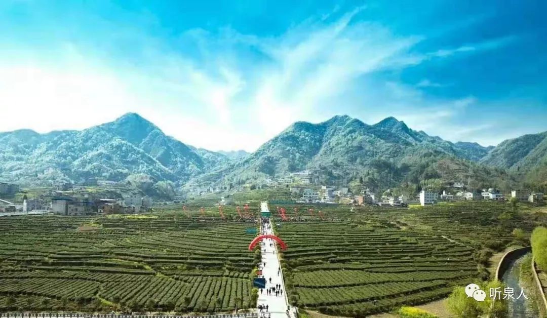 初见天然富硒茶(初见茶叶多少钱一盒)-硒宝网