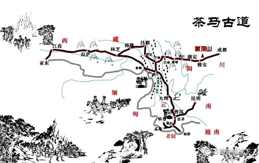 安康富硒茶平镇(安康富硒茶园)-硒宝网