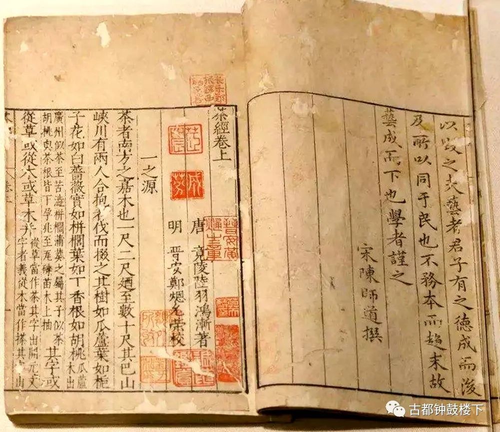 安康富硒茶平镇(安康富硒茶园)-硒宝网