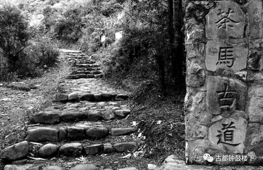 安康富硒茶平镇(安康富硒茶园)-硒宝网