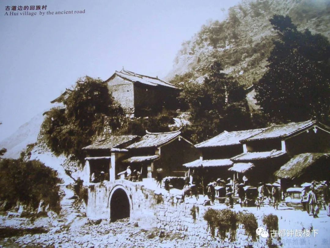 安康富硒茶平镇(安康富硒茶园)-硒宝网