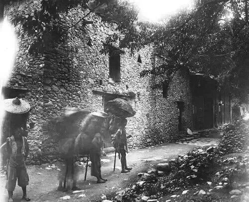 安康富硒茶平镇(安康富硒茶园)-硒宝网