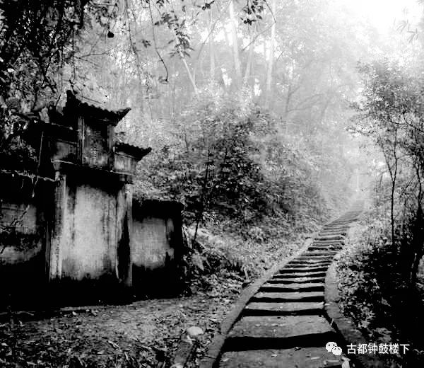 安康富硒茶平镇(安康富硒茶园)-硒宝网