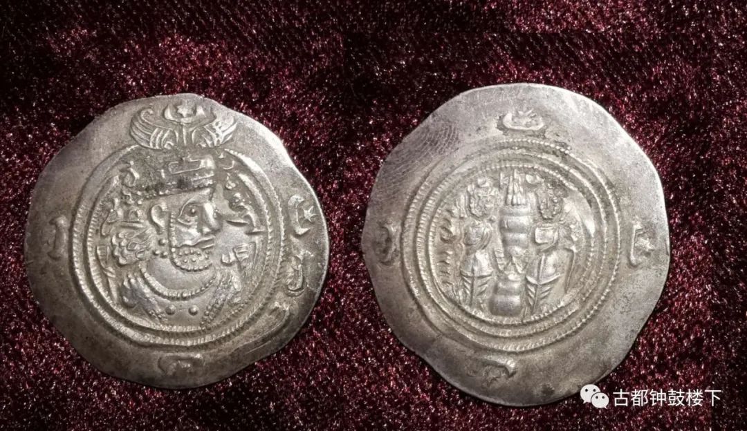 安康富硒茶平镇(安康富硒茶园)-硒宝网