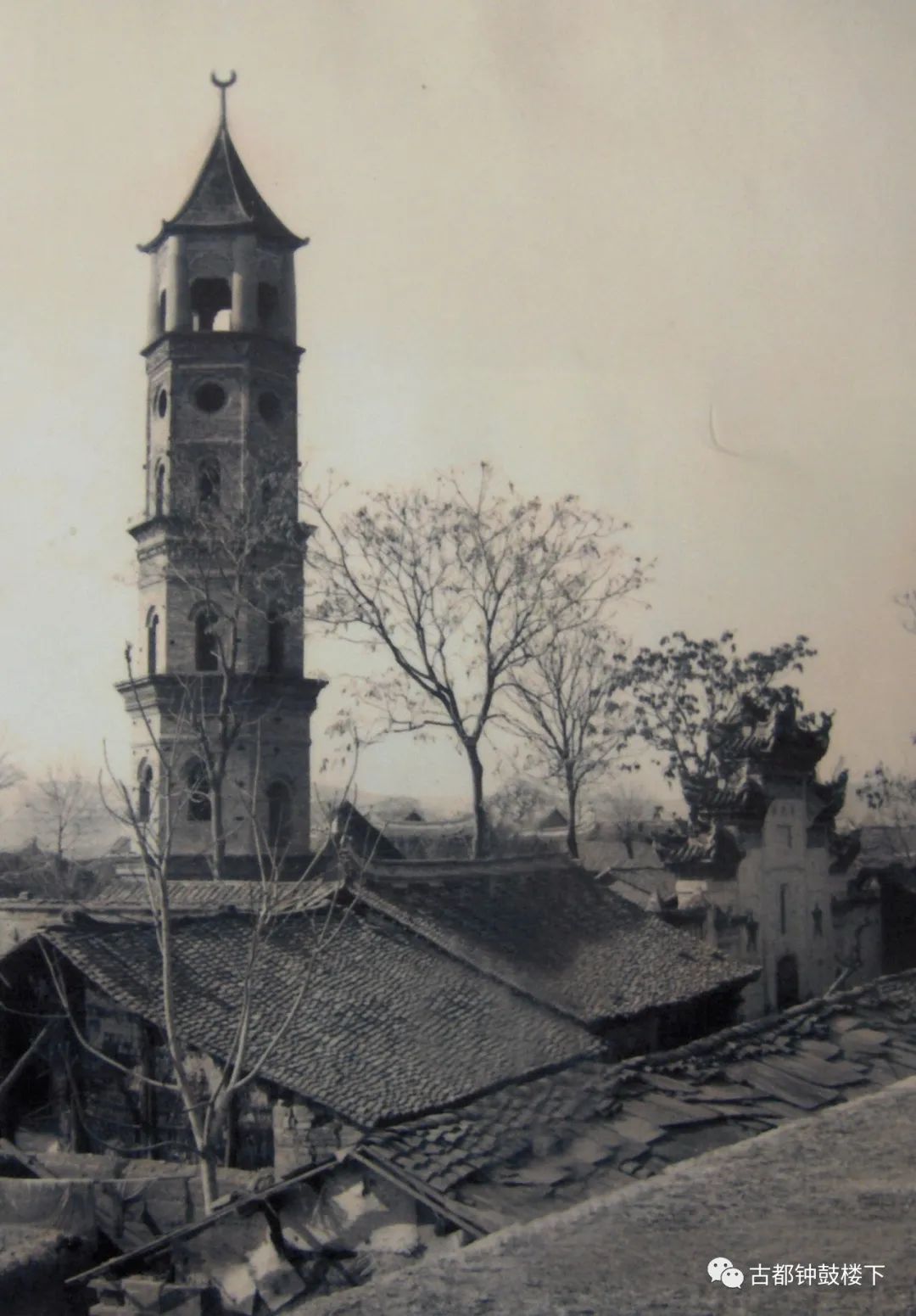 安康富硒茶平镇(安康富硒茶园)-硒宝网