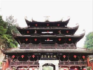 硒富汇天子藤茶(天子野藤茶)-硒宝网