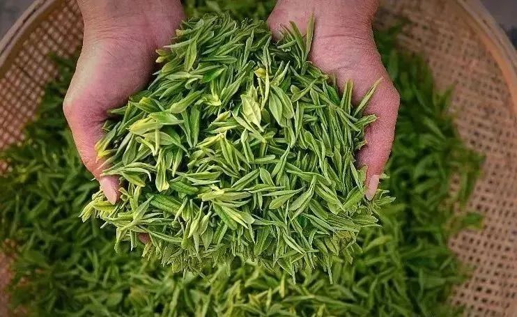 恩施富硒茶发甜（恩施富硒茶价格表一斤多少钱）-硒宝网