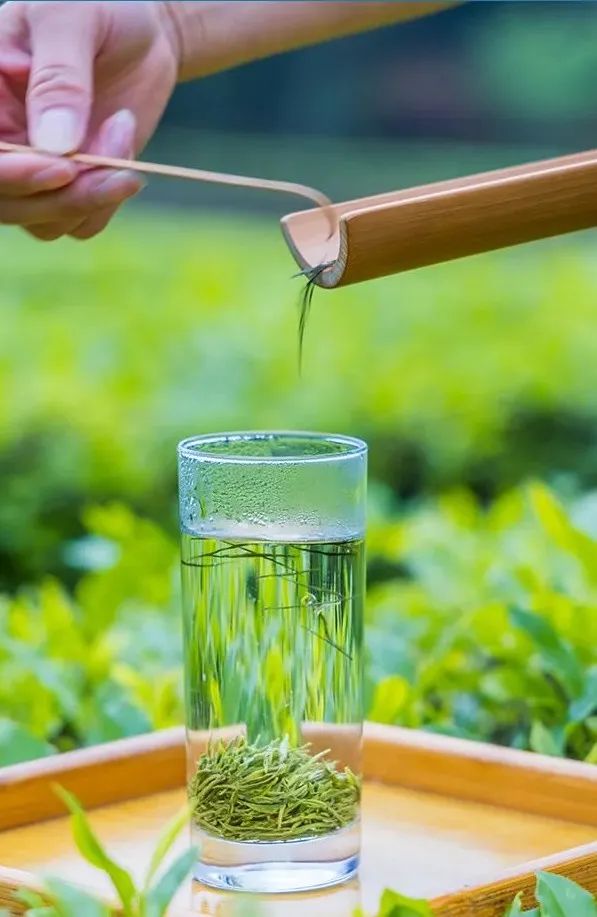 恩施富硒茶发甜（恩施富硒茶价格表一斤多少钱）-硒宝网