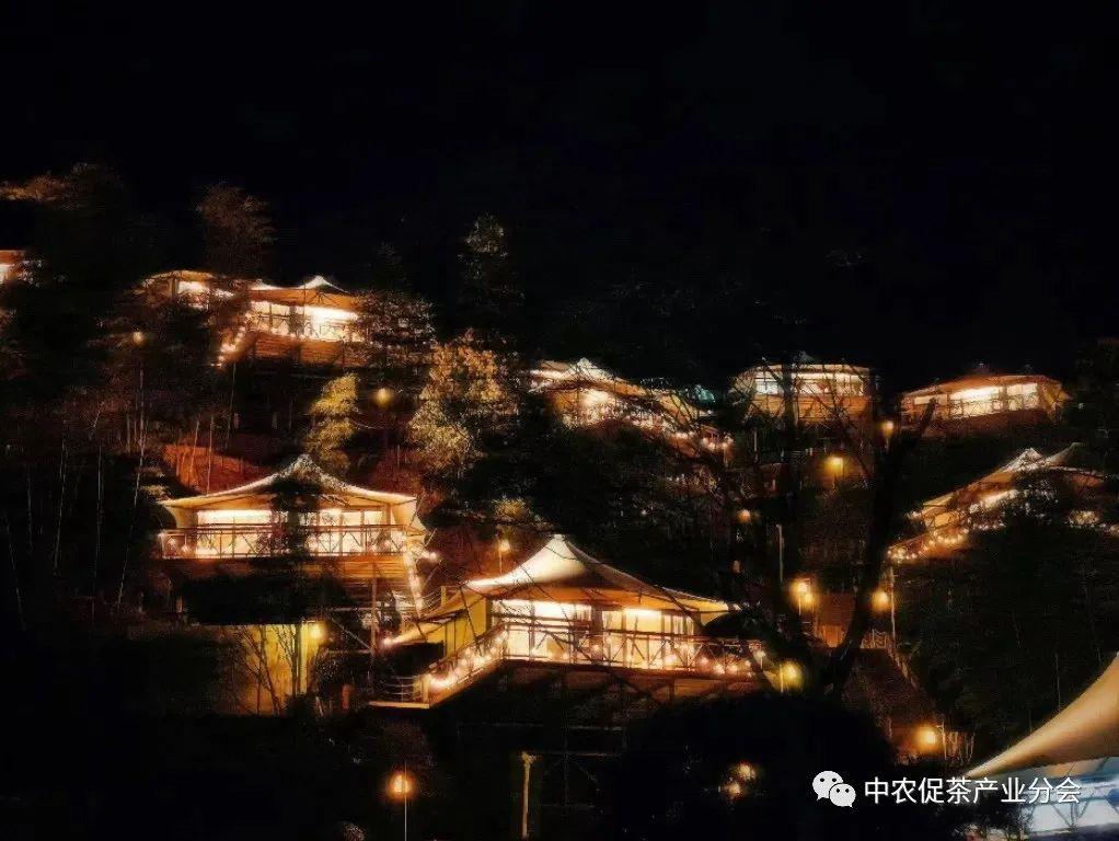 上犹营前富硒茶(富硒茶简介)-硒宝网