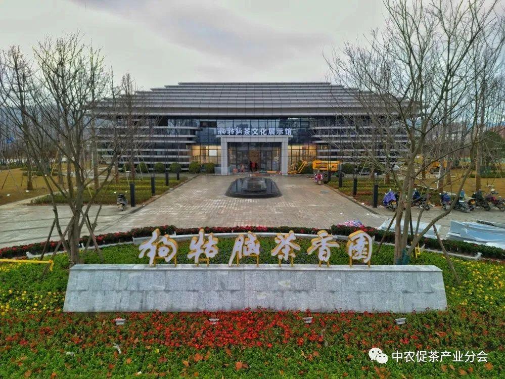 上犹营前富硒茶(富硒茶简介)-硒宝网