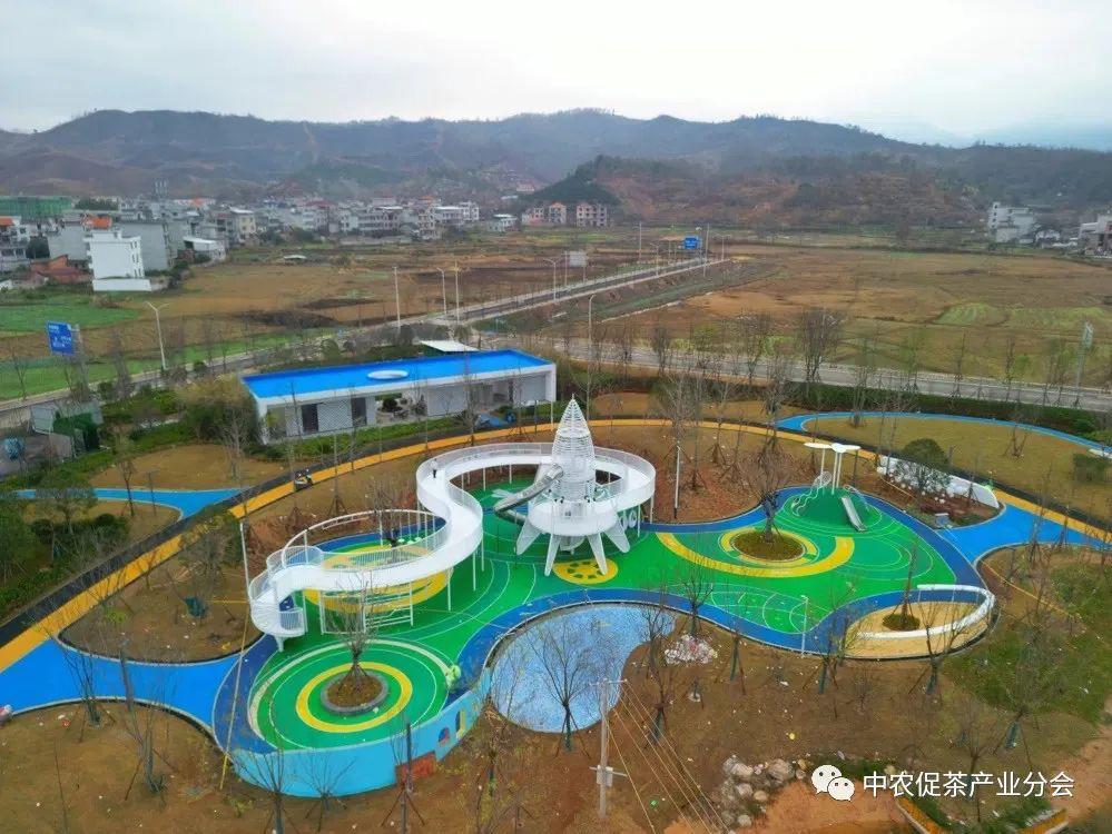 上犹营前富硒茶(富硒茶简介)-硒宝网