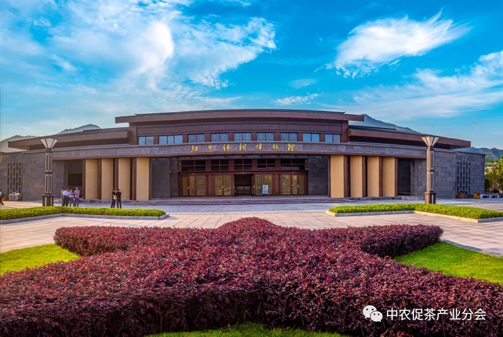 上犹营前富硒茶(富硒茶简介)-硒宝网