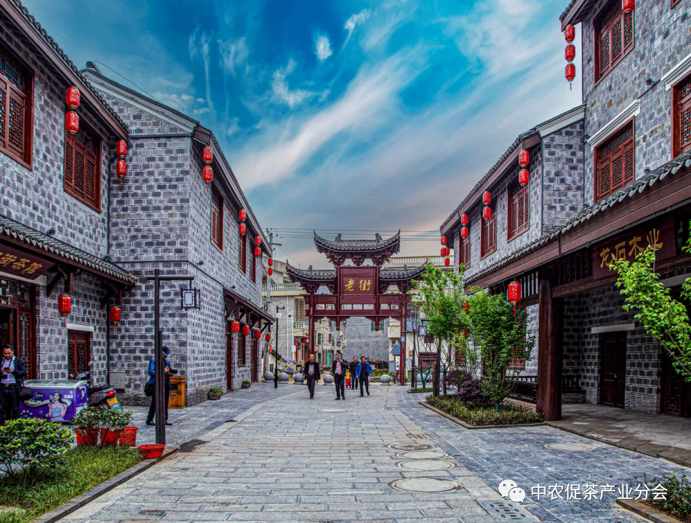 上犹营前富硒茶(富硒茶简介)-硒宝网