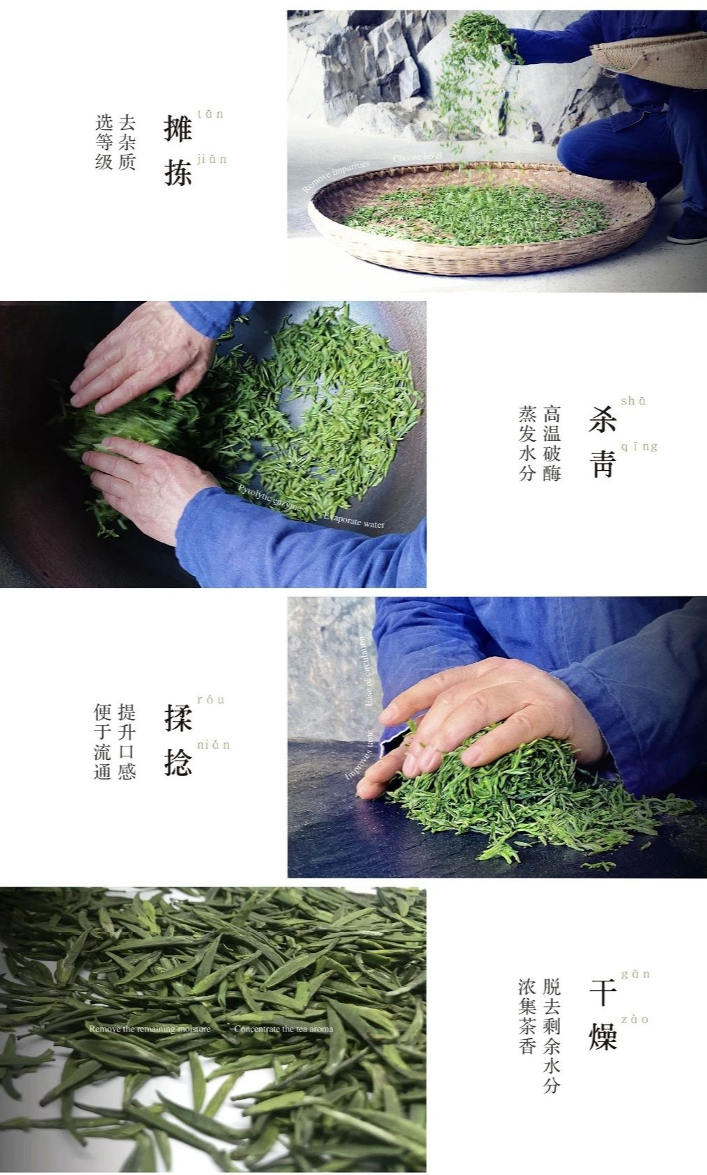 利川富硒明前茶（利川富硒茶叶）-硒宝网