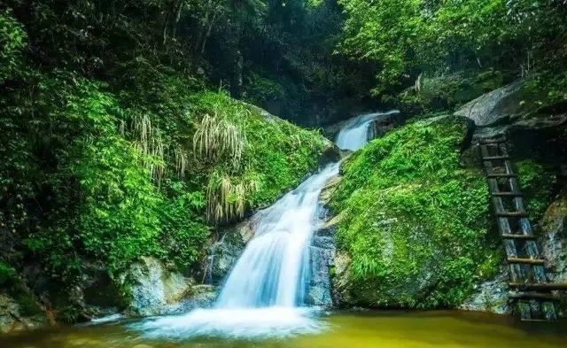 生态富硒养生茶（养生茶生态富硒的作用）-硒宝网