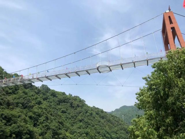 生态富硒养生茶（养生茶生态富硒的作用）-硒宝网