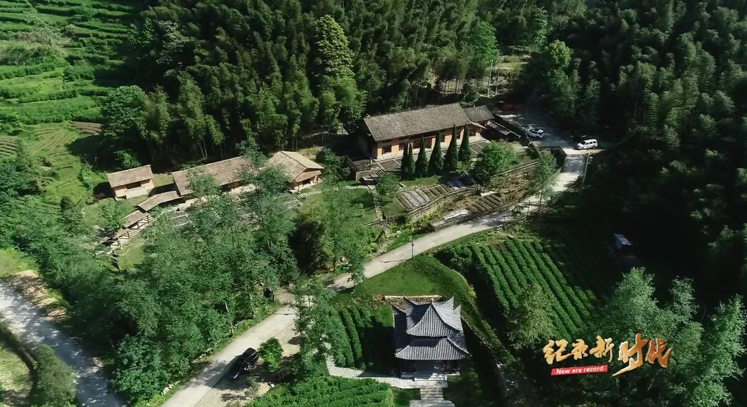 宜春富硒金片茶(江西宜春富硒的真假)-硒宝网