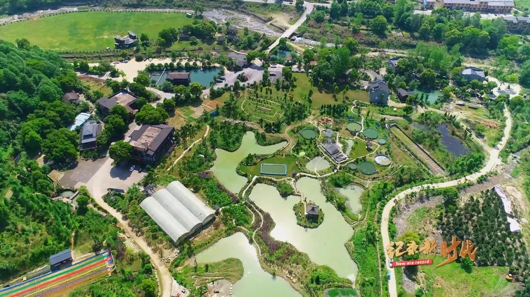 宜春富硒金片茶(江西宜春富硒的真假)-硒宝网