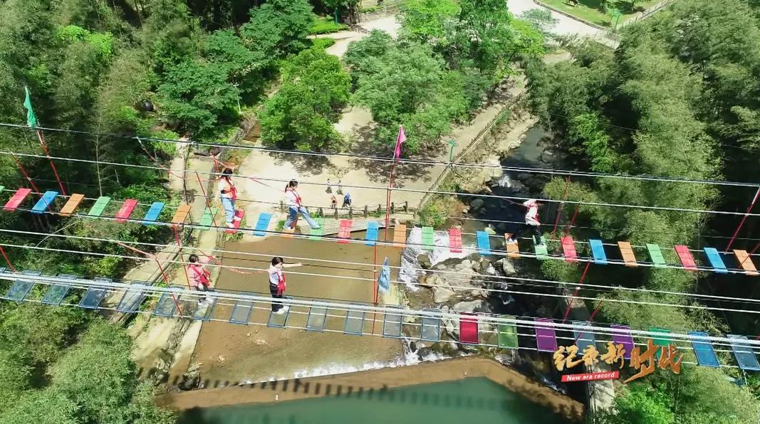 宜春富硒金片茶(江西宜春富硒的真假)-硒宝网