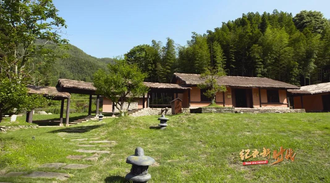 宜春富硒金片茶(江西宜春富硒的真假)-硒宝网