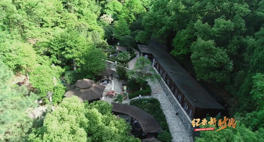 宜春富硒金片茶(江西宜春富硒的真假)-硒宝网