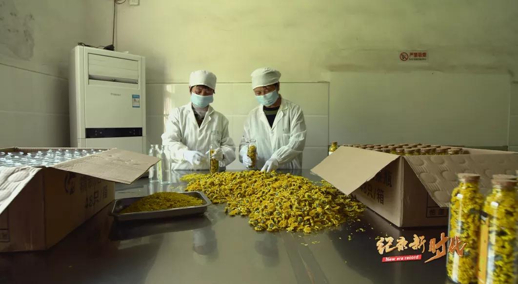 宜春富硒金片茶(江西宜春富硒的真假)-硒宝网