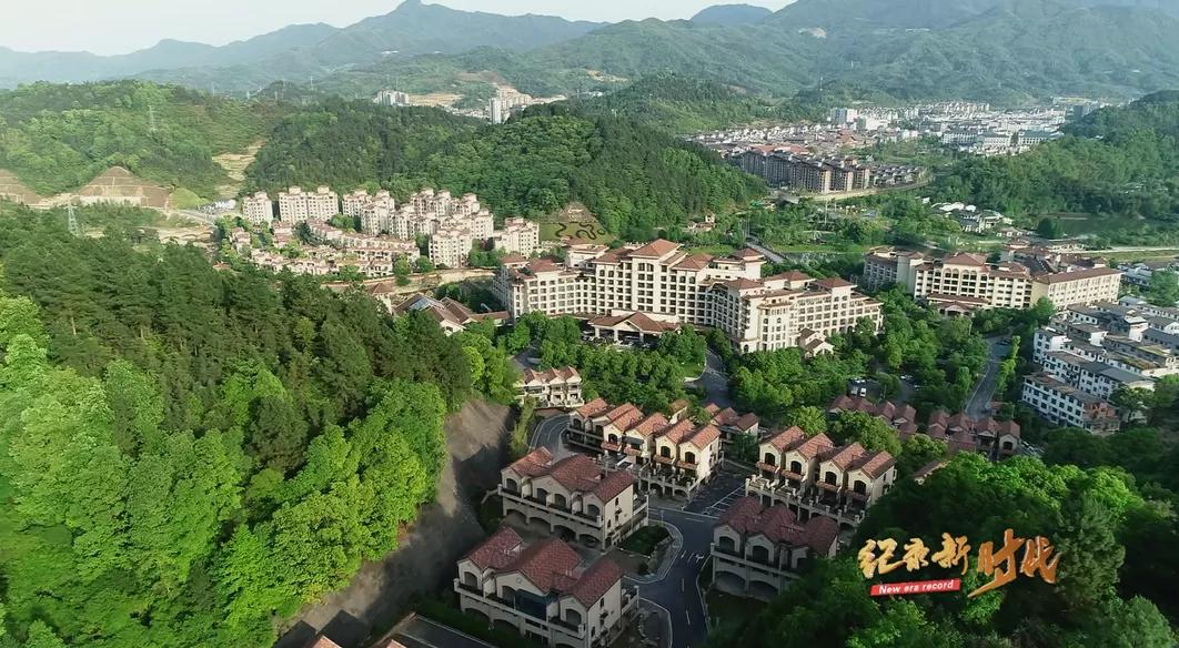 宜春富硒金片茶(江西宜春富硒的真假)-硒宝网