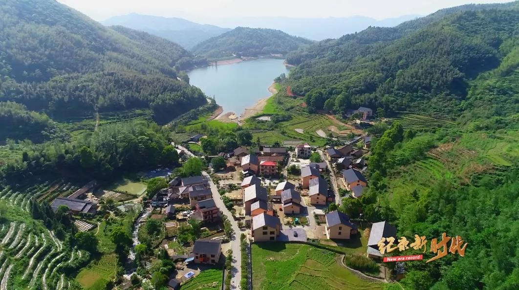 宜春富硒金片茶(江西宜春富硒的真假)-硒宝网