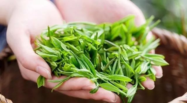 开阳高山富硒茶（高山硒茶有什么作用）-硒宝网