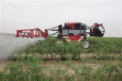 月港富硒有机茶(紫阳富硒茶的功效)-硒宝网