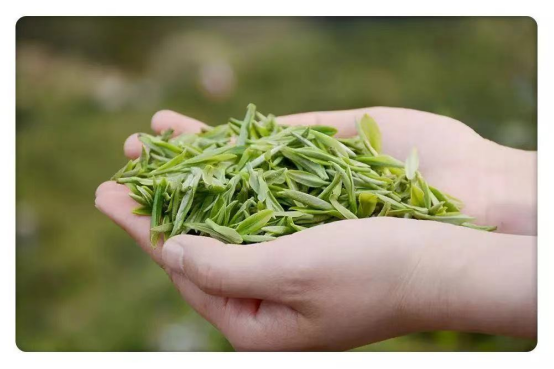 月港富硒有机茶（恩施富硒茶是什么茶）-硒宝网