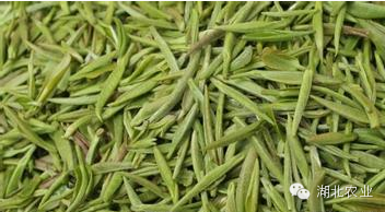 六雾恩施富硒茶(恩施富硒茶是绿茶吗)-硒宝网