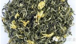 六雾恩施富硒茶(恩施富硒茶是绿茶吗)-硒宝网