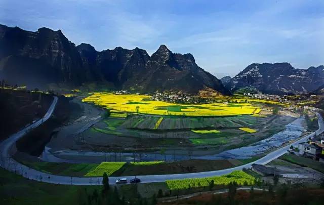 恩施富硒茶雾翠（恩施翠泉绿茶价格）-硒宝网