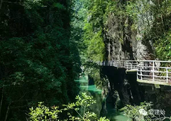 恩施富硒茶雾翠（恩施翠泉绿茶价格）-硒宝网