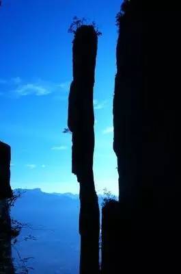 恩施富硒茶雾翠（恩施翠泉绿茶价格）-硒宝网