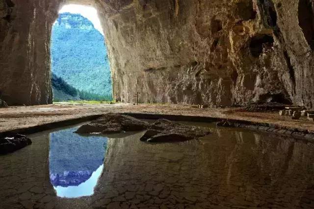 恩施富硒茶雾翠（恩施翠泉绿茶价格）-硒宝网