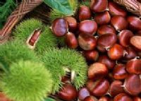 富硒紫米茶介绍(富硒紫米的功效和作用)-硒宝网