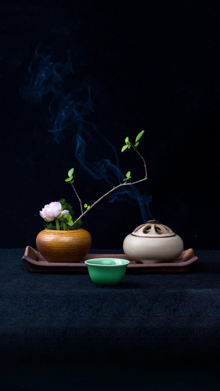 构树叶茶有富硒（树叶构茶富硒有什么好处）-硒宝网