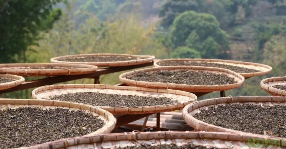 富硒茶炒制过程(炒茶工艺流程视频)-硒宝网