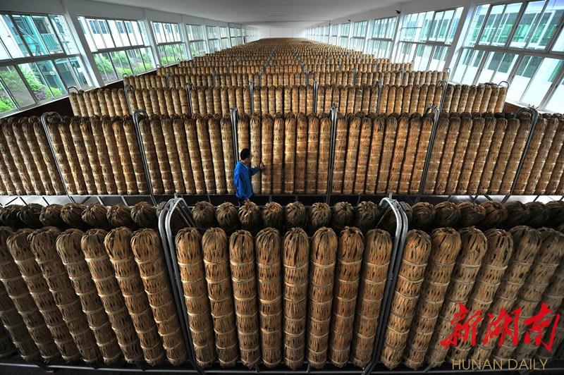 富硒速溶茶价格（富硒速溶茶多少钱一盒）-硒宝网